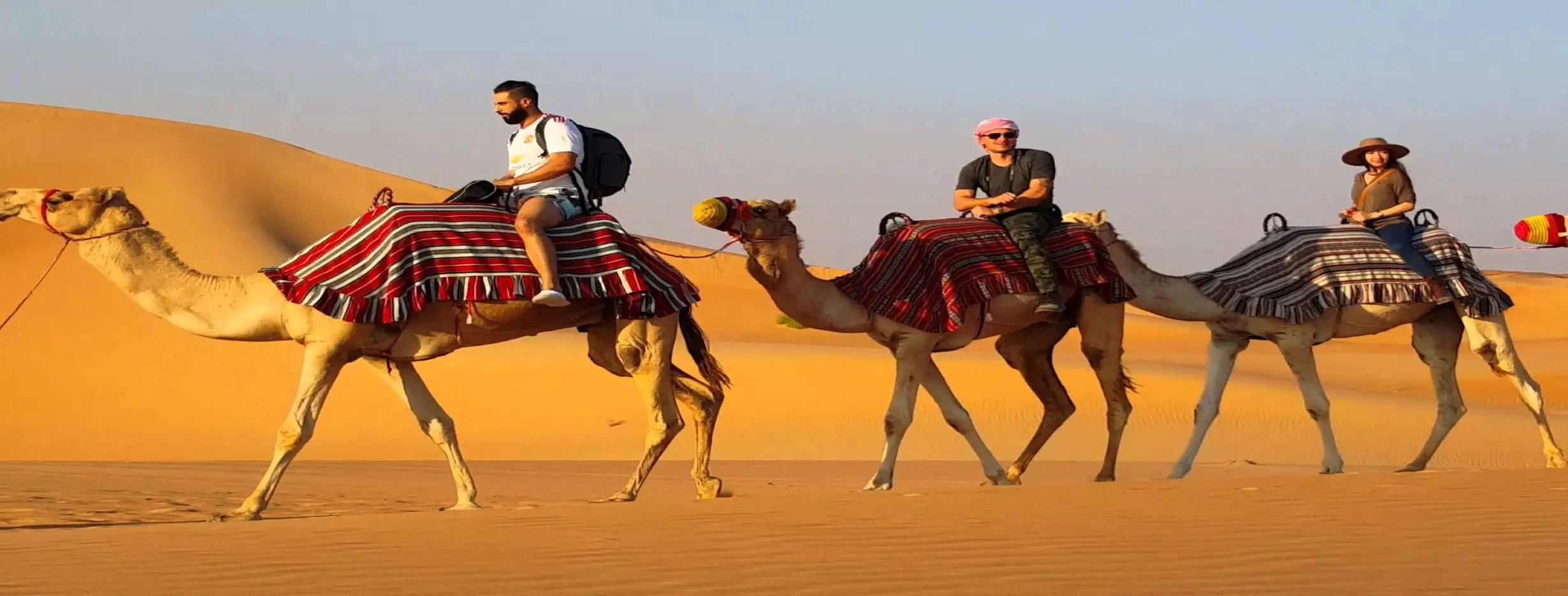 Image for Camel Safari